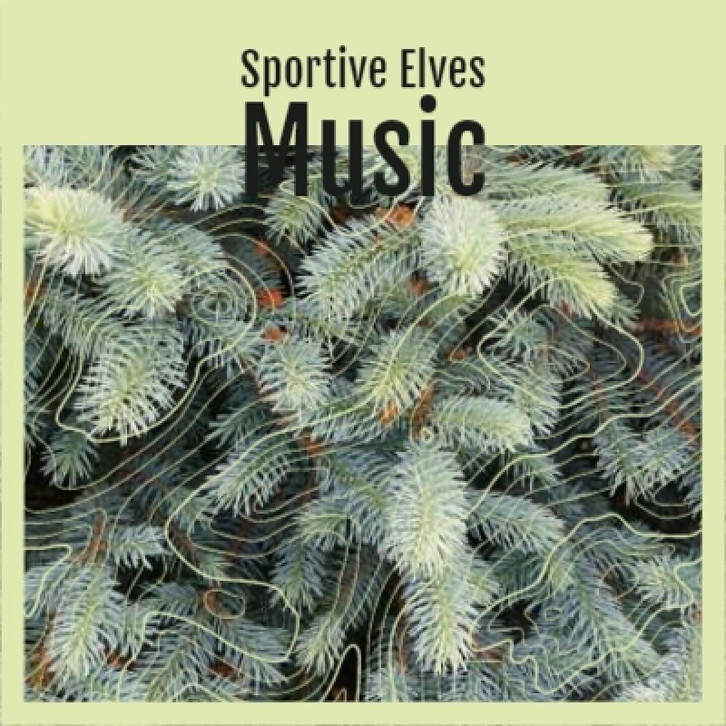 Релиз Sportive Elves Music