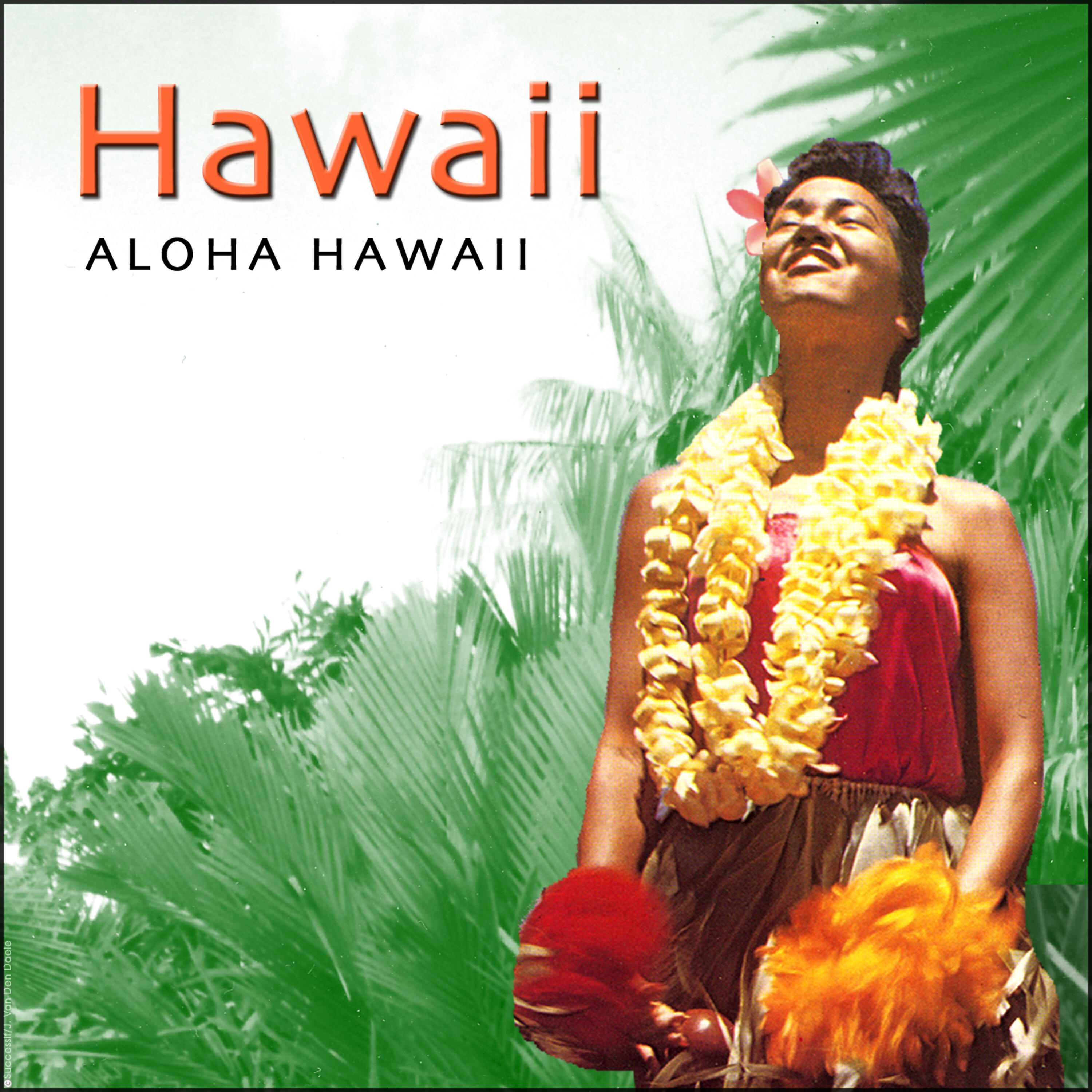 Релиз Aloha Hawaii - Hawaiian Guitar