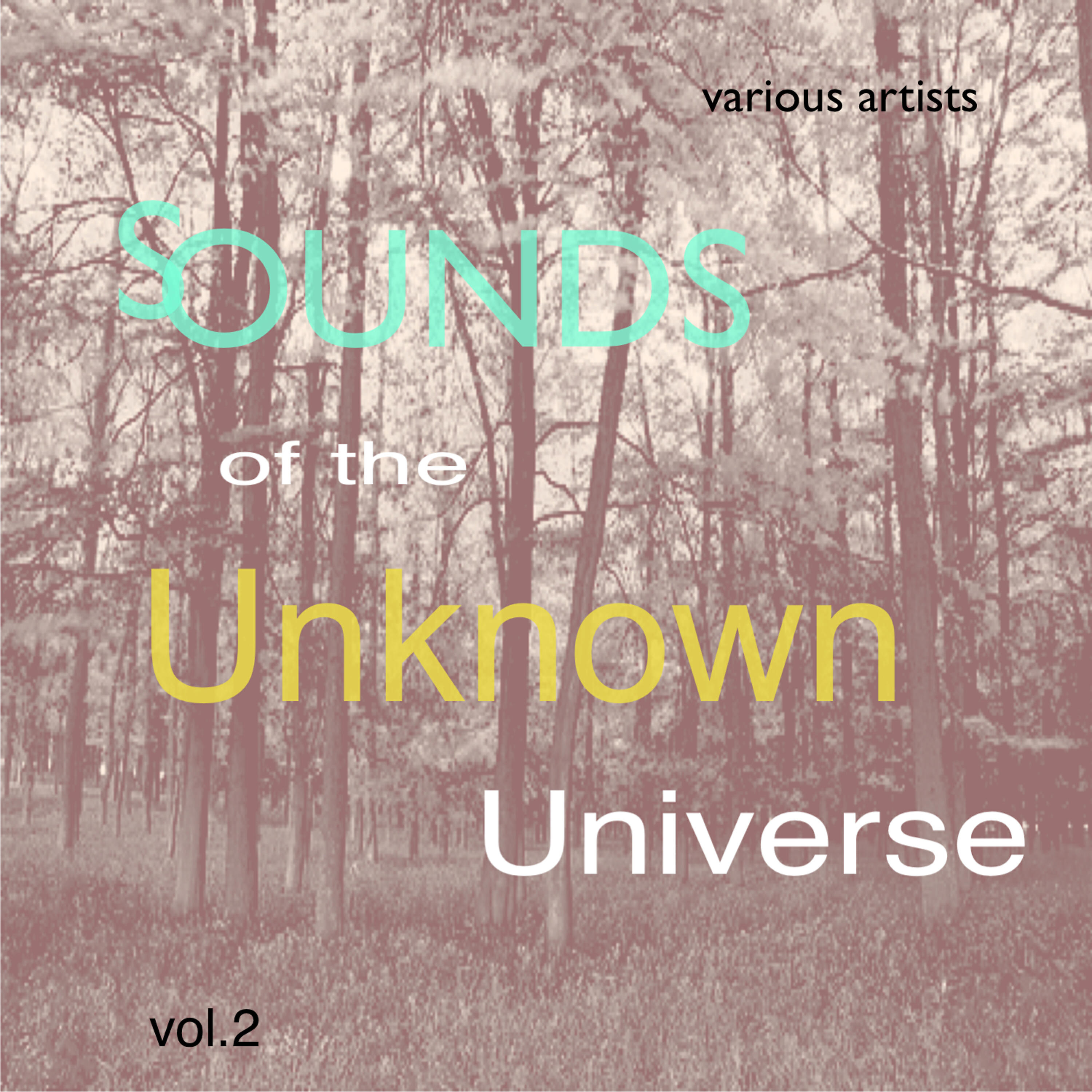 Релиз Sounds of the Unknown Universe: Vol.2