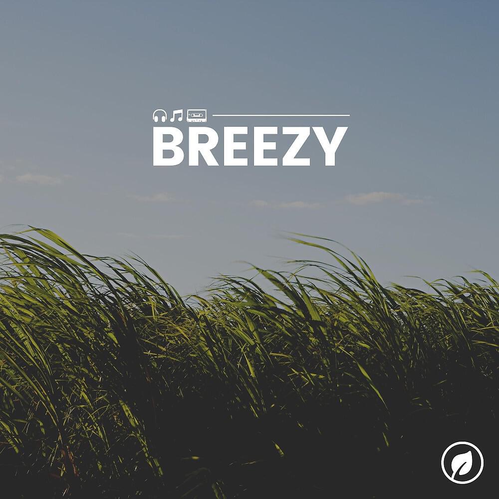 Релиз Breezy