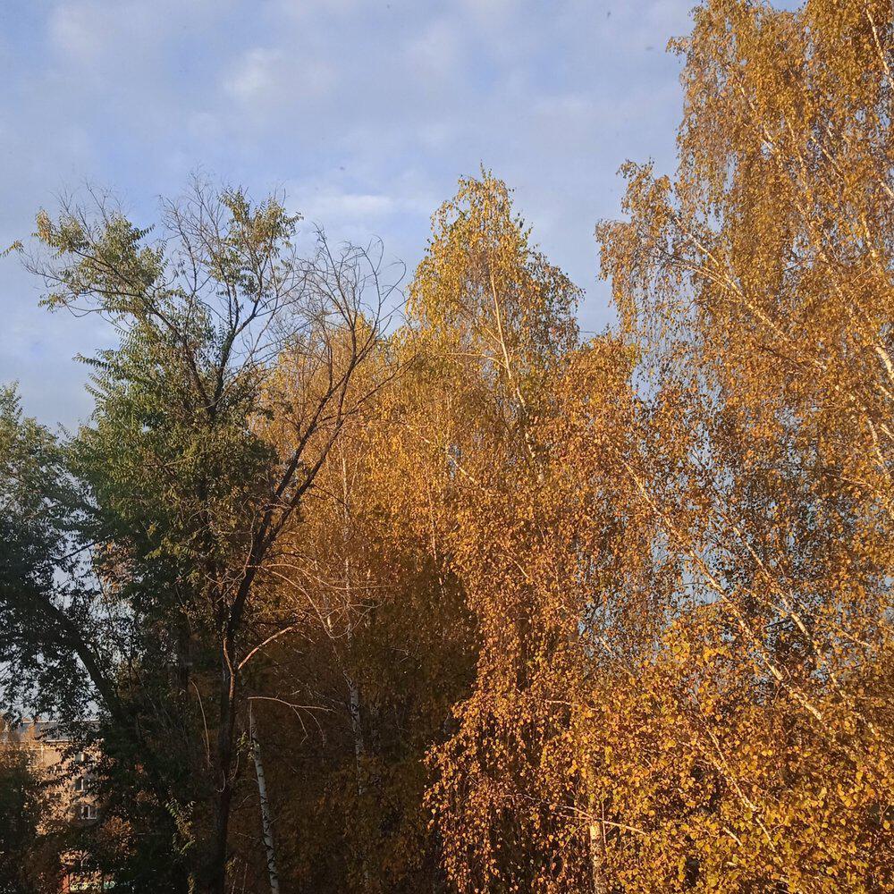 Воробьев Дмитрий