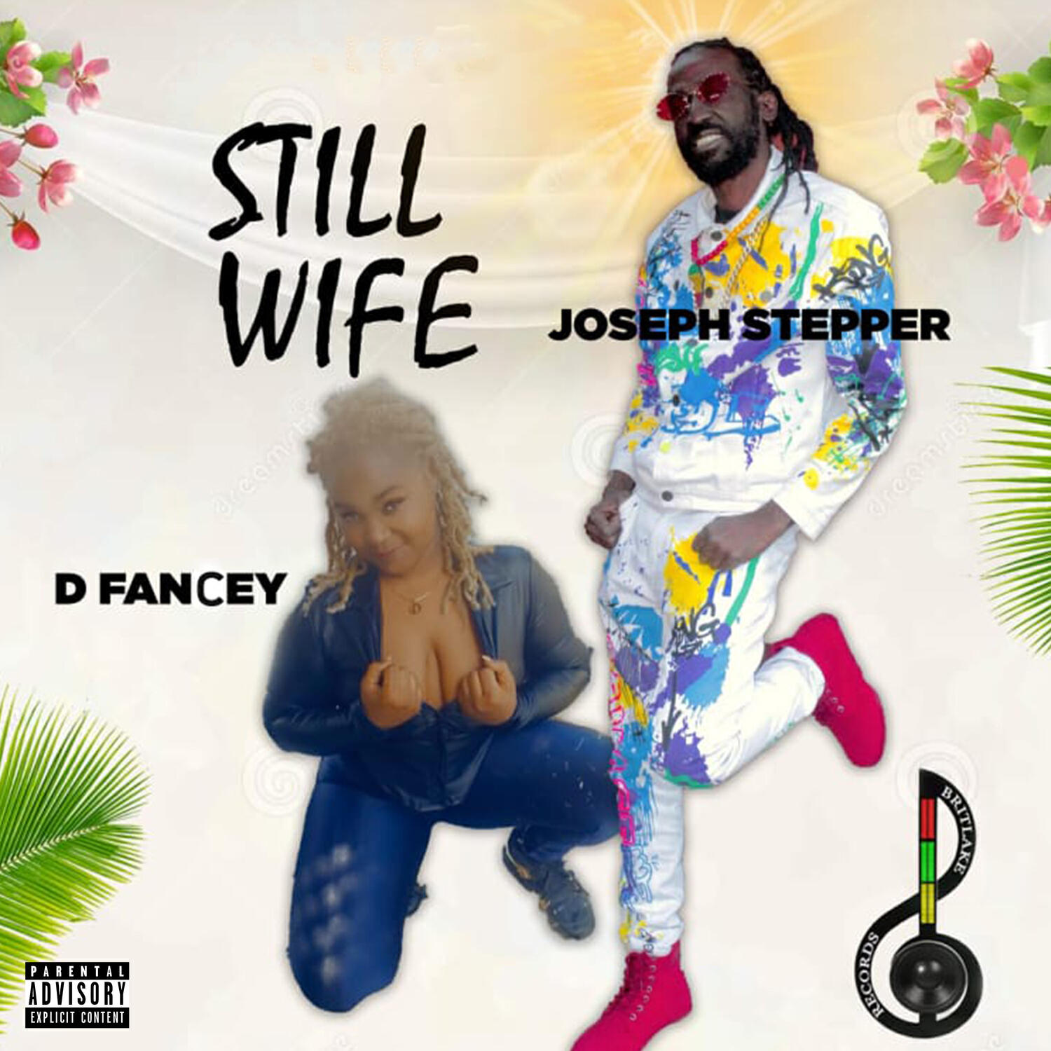 Релиз Still Wife