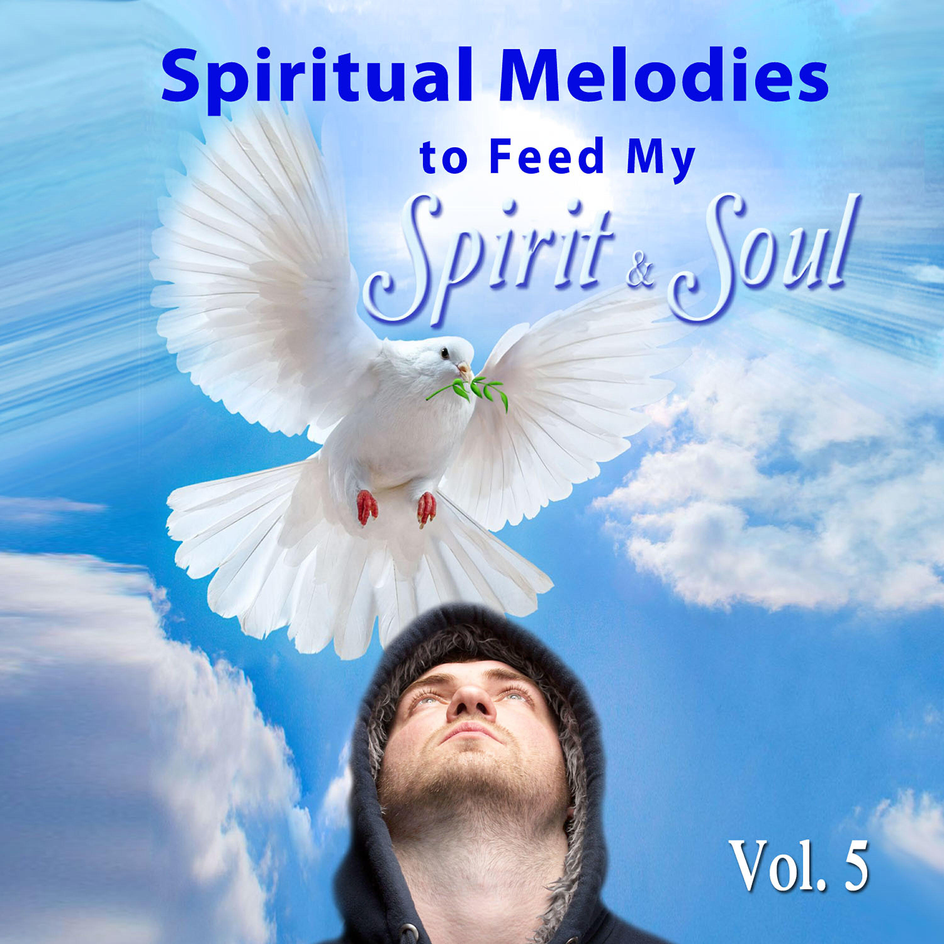 Релиз Spiritual Melodies for Feed My Spirit & Soul