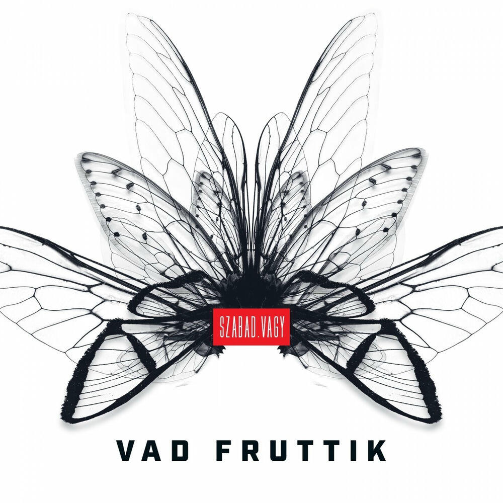 Релиз Szabad.Vagy