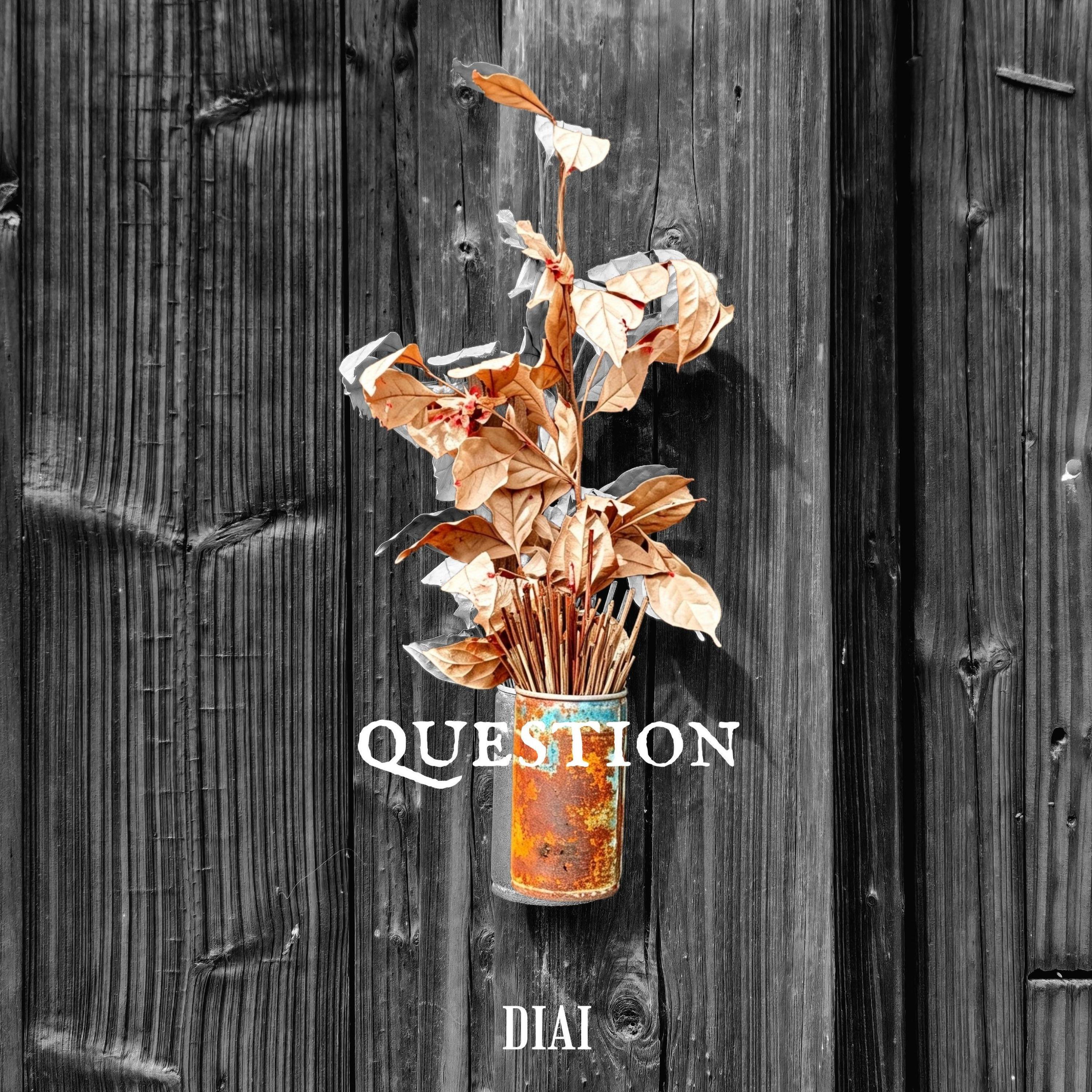 DiAi_地瓜