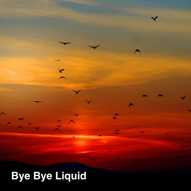 Релиз Bye Bye Liquid