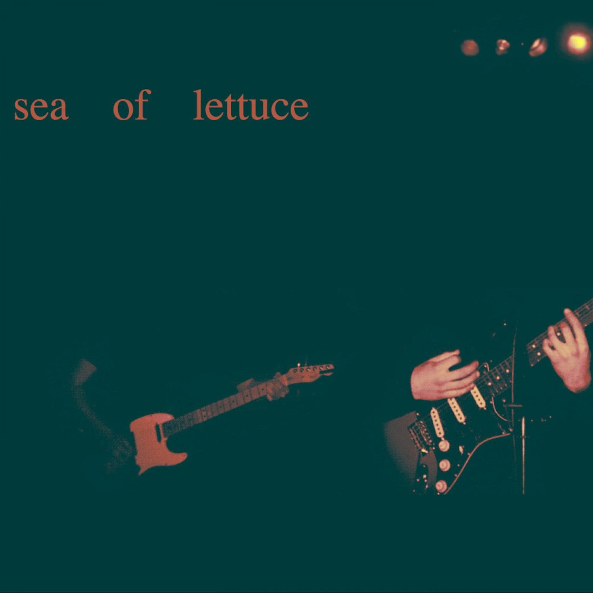 Релиз Sea of Lettuce