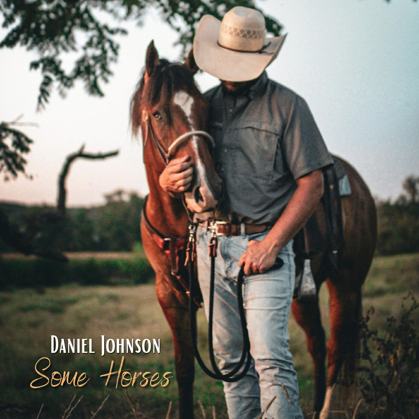 Релиз Some Horses