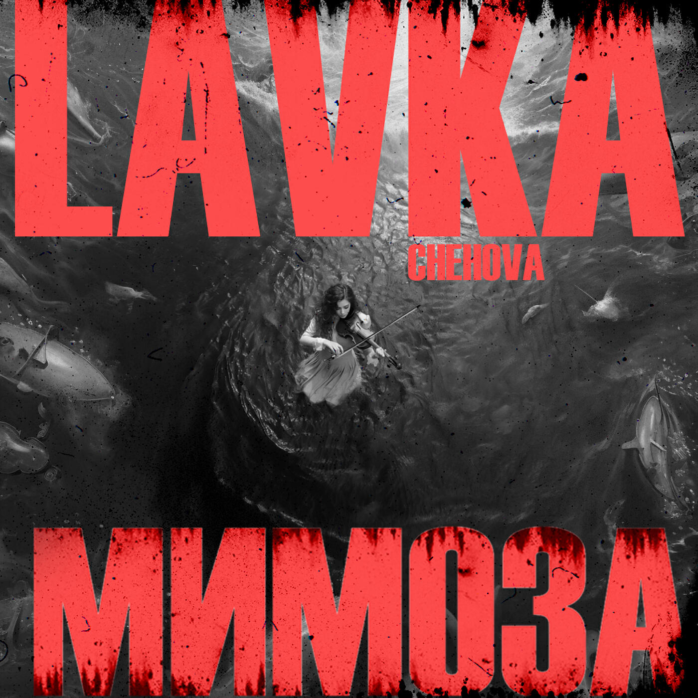 Релиз Мимоза