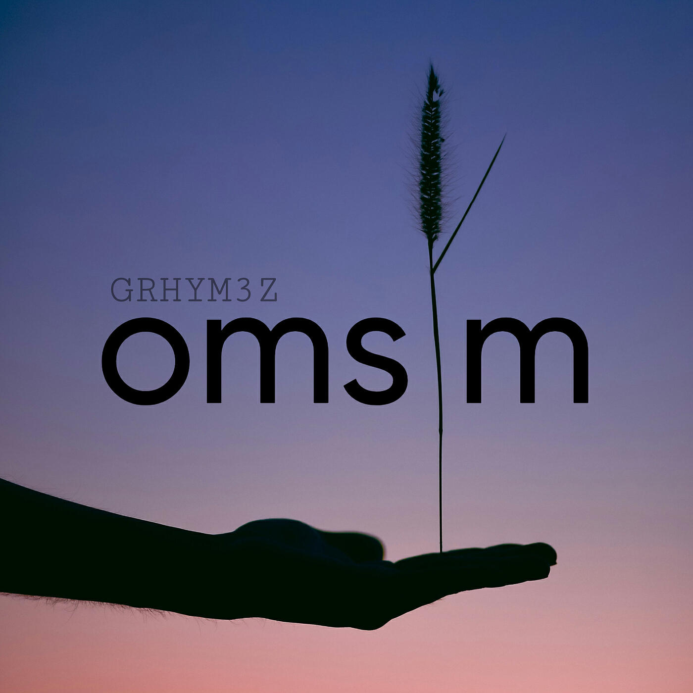 Релиз Omsim