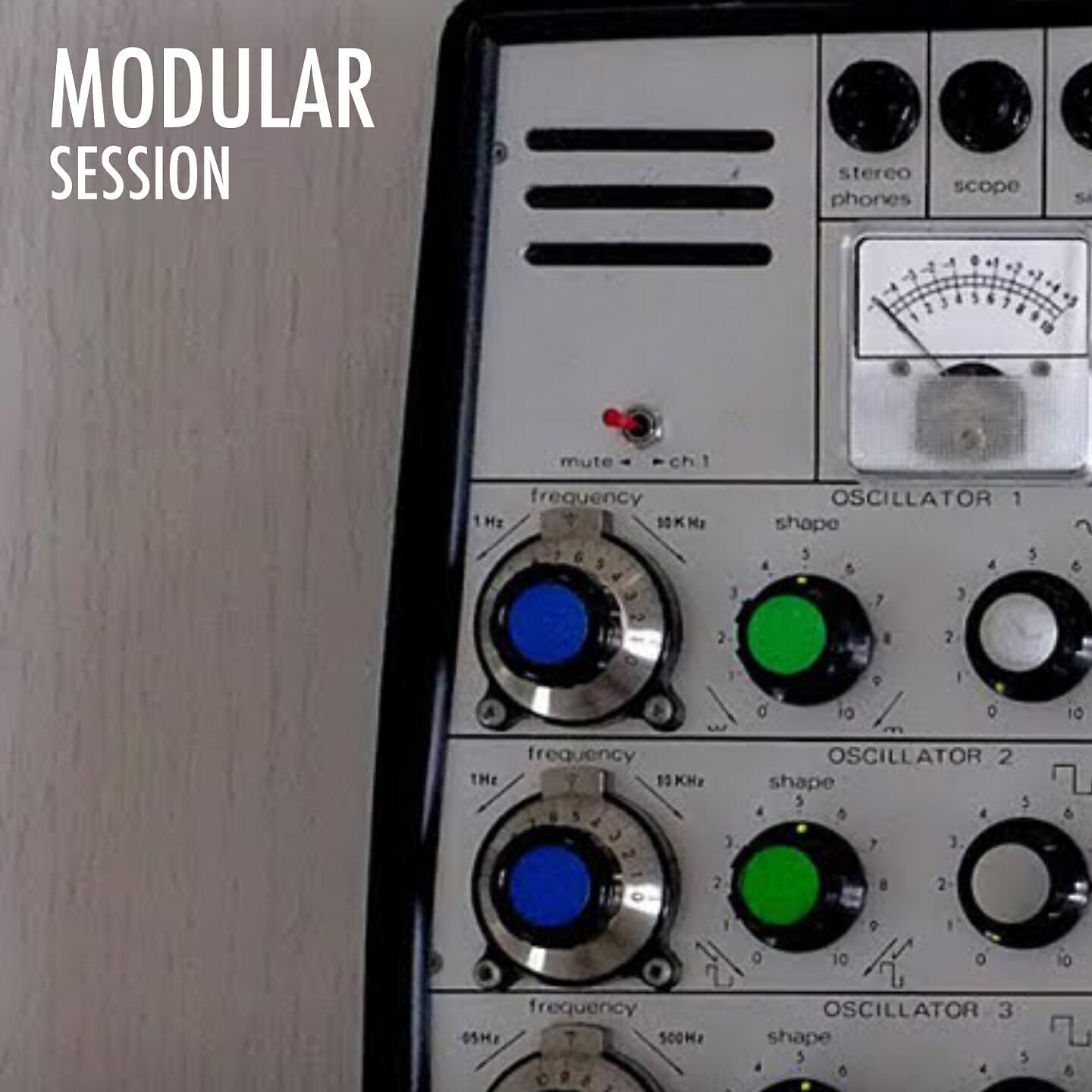 Постер альбома Modular Session
