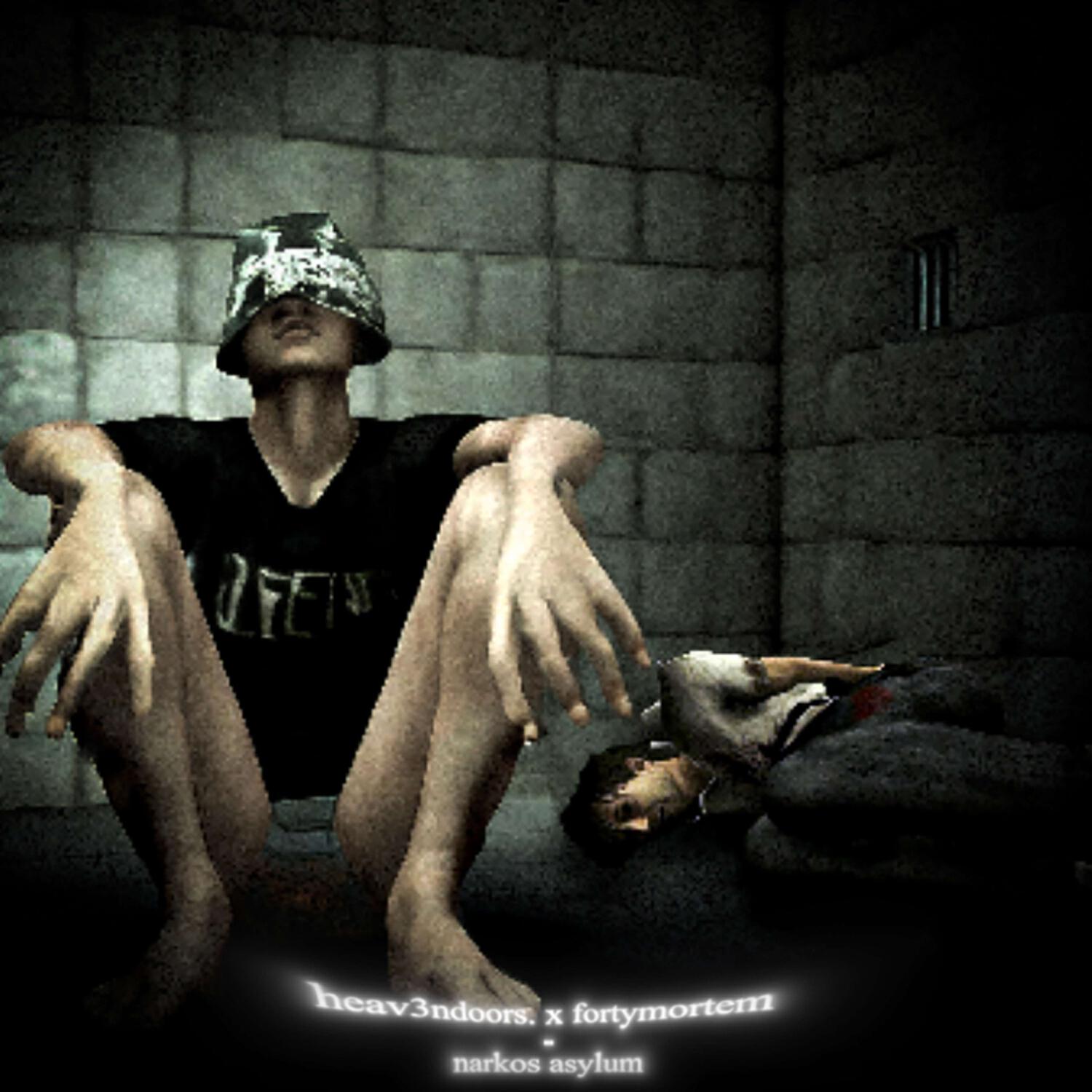 Релиз Narkos Asylum