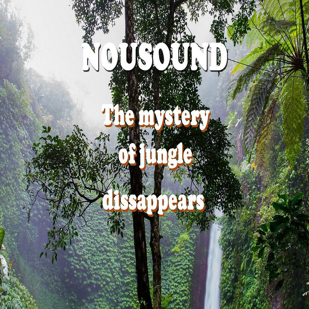 Релиз Mystery of Jungle Dissappears