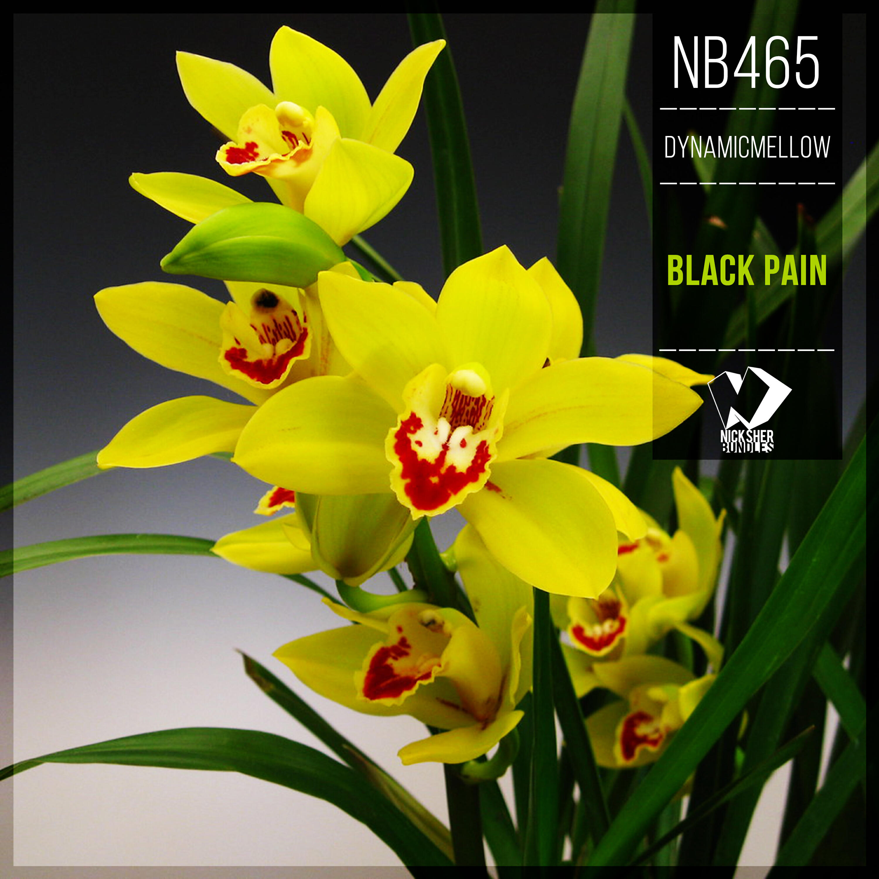 Релиз Black Pain