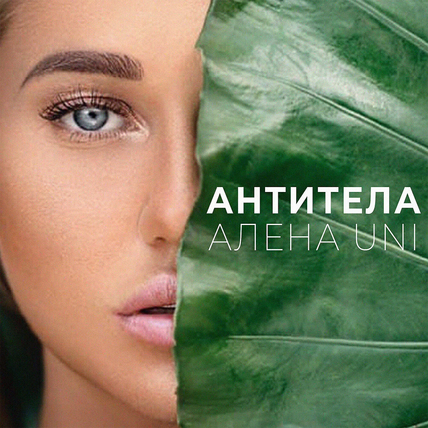 Релиз Антитела