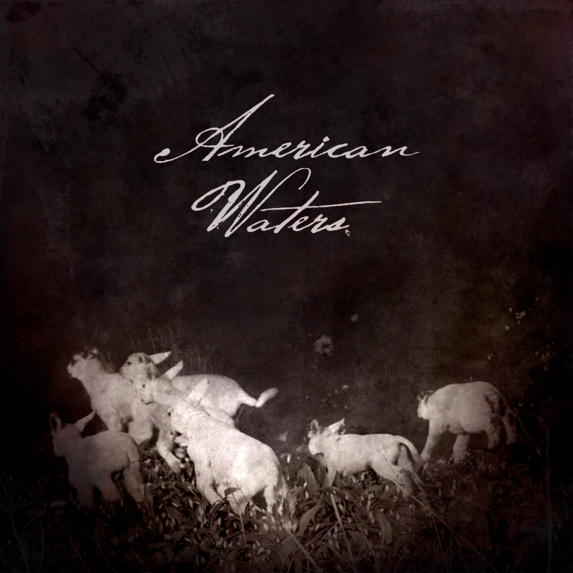 Релиз American Waters