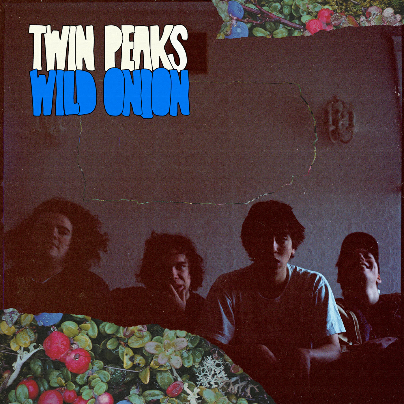 Релиз Wild Onion