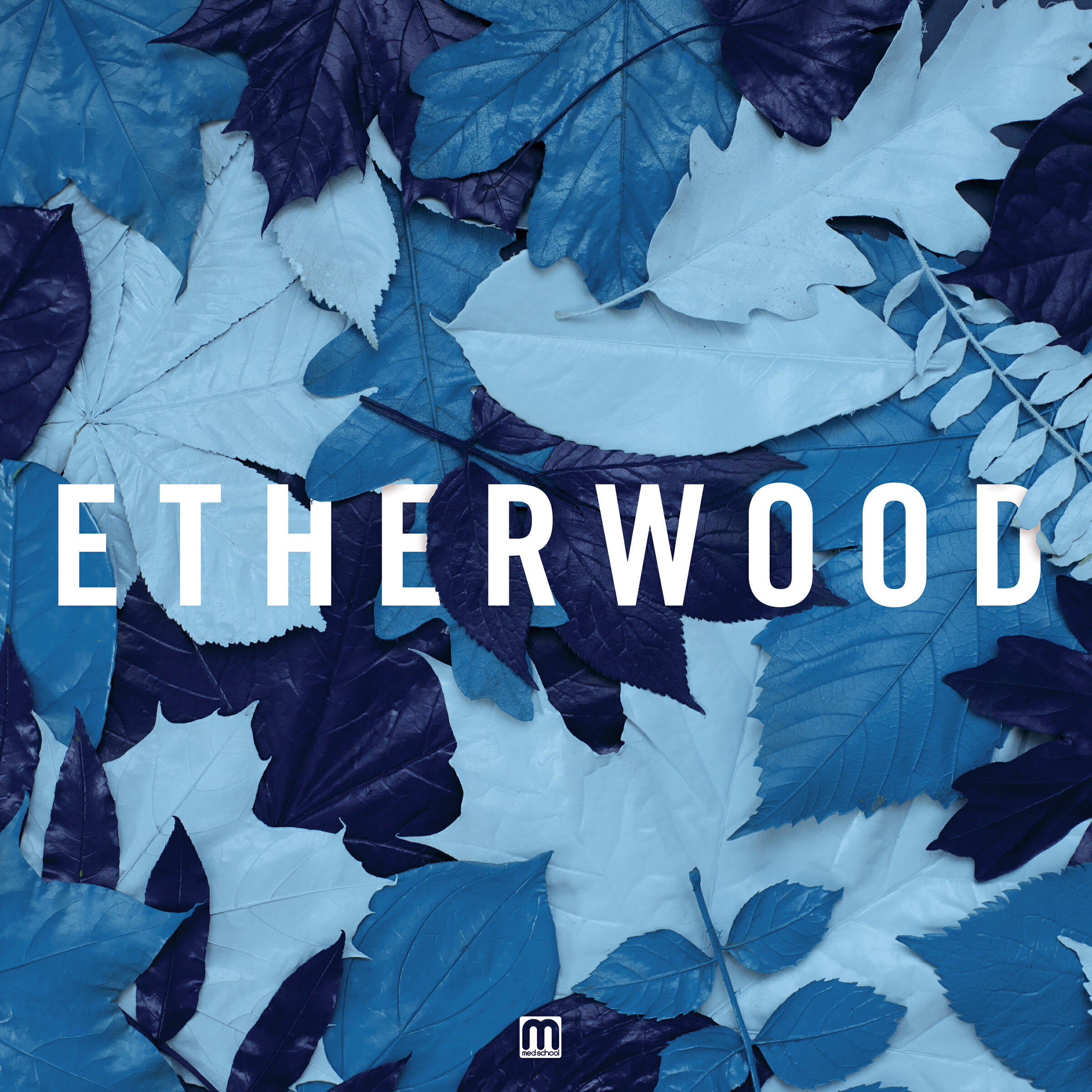Etherwood, Zara Kershaw - Souvenirs