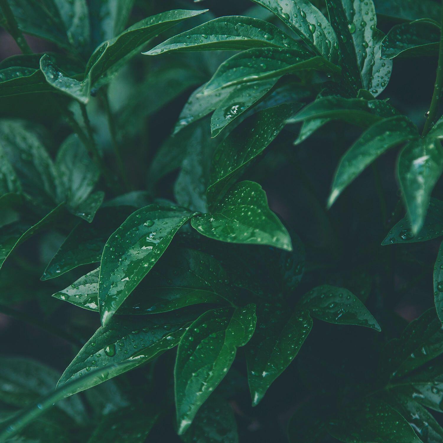 Релиз Pleasant and soft noises for sleep