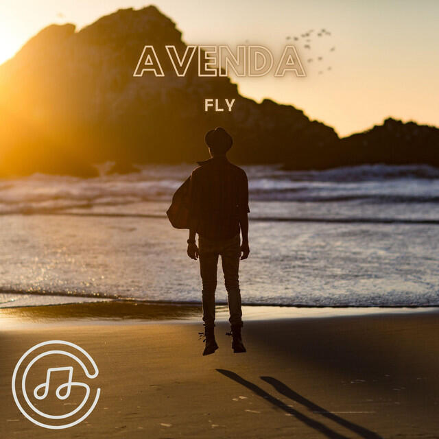 Релиз Fly
