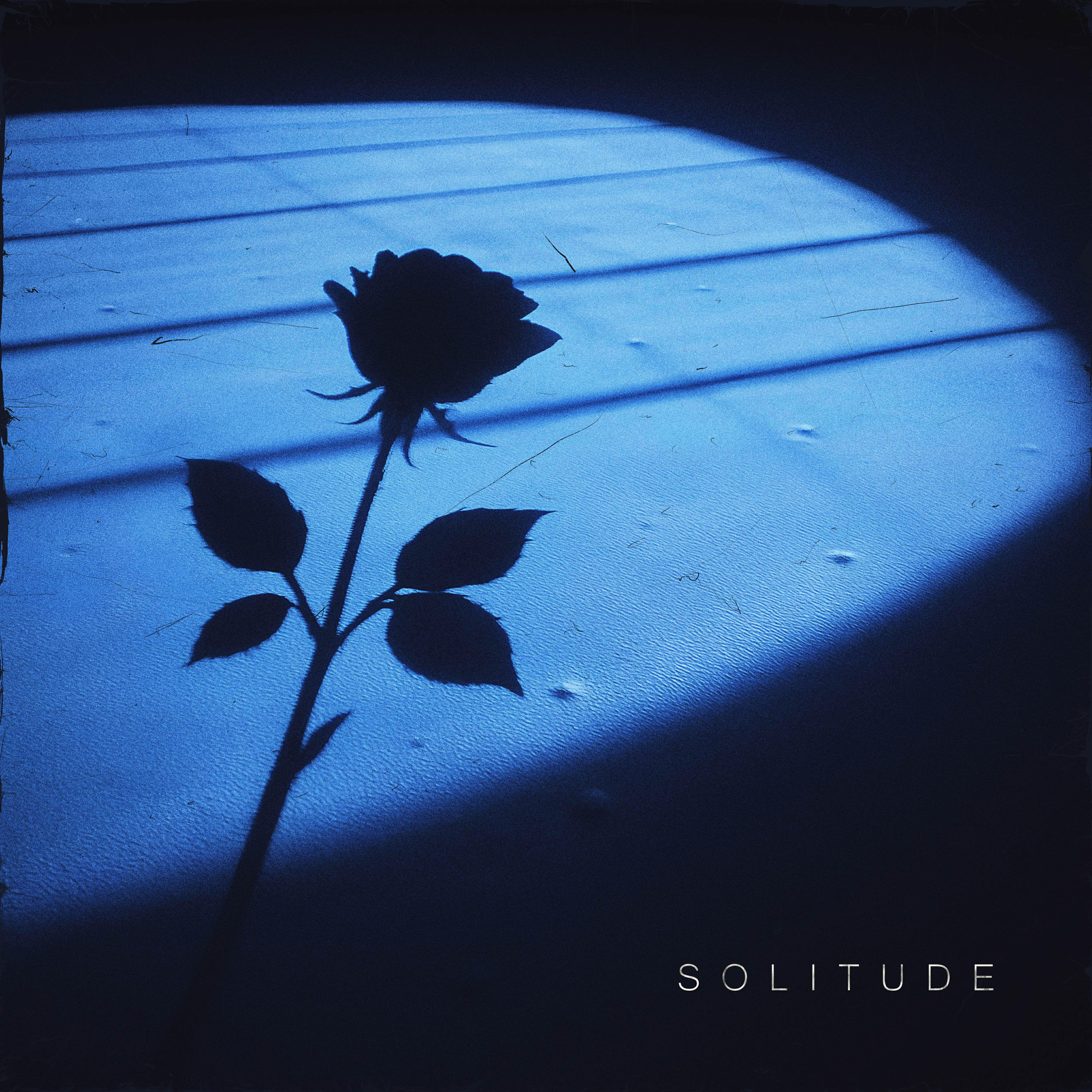 Постер альбома Solitude