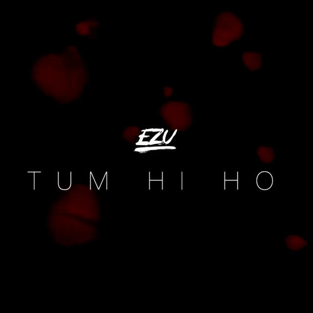 Релиз Tum Hi Ho (Cover)