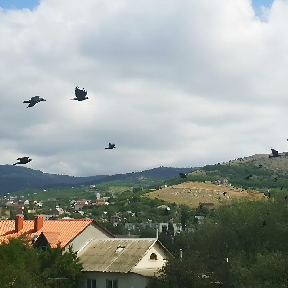Релиз Не таите