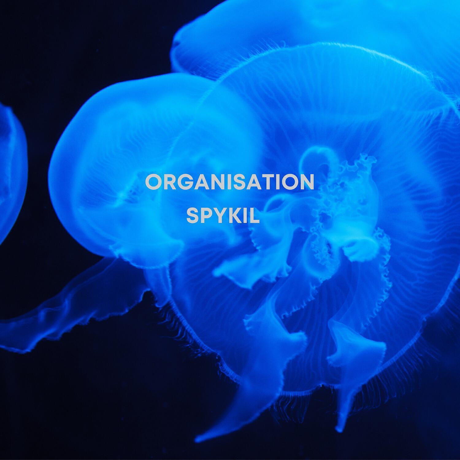 Spykil