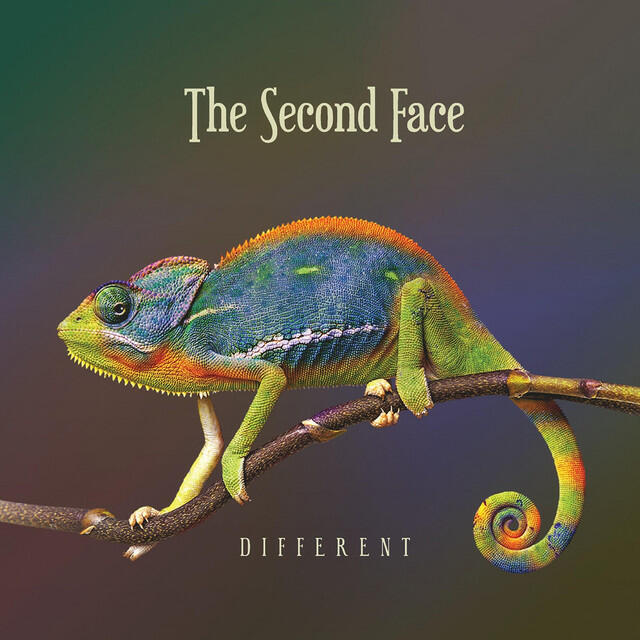 The Second Face