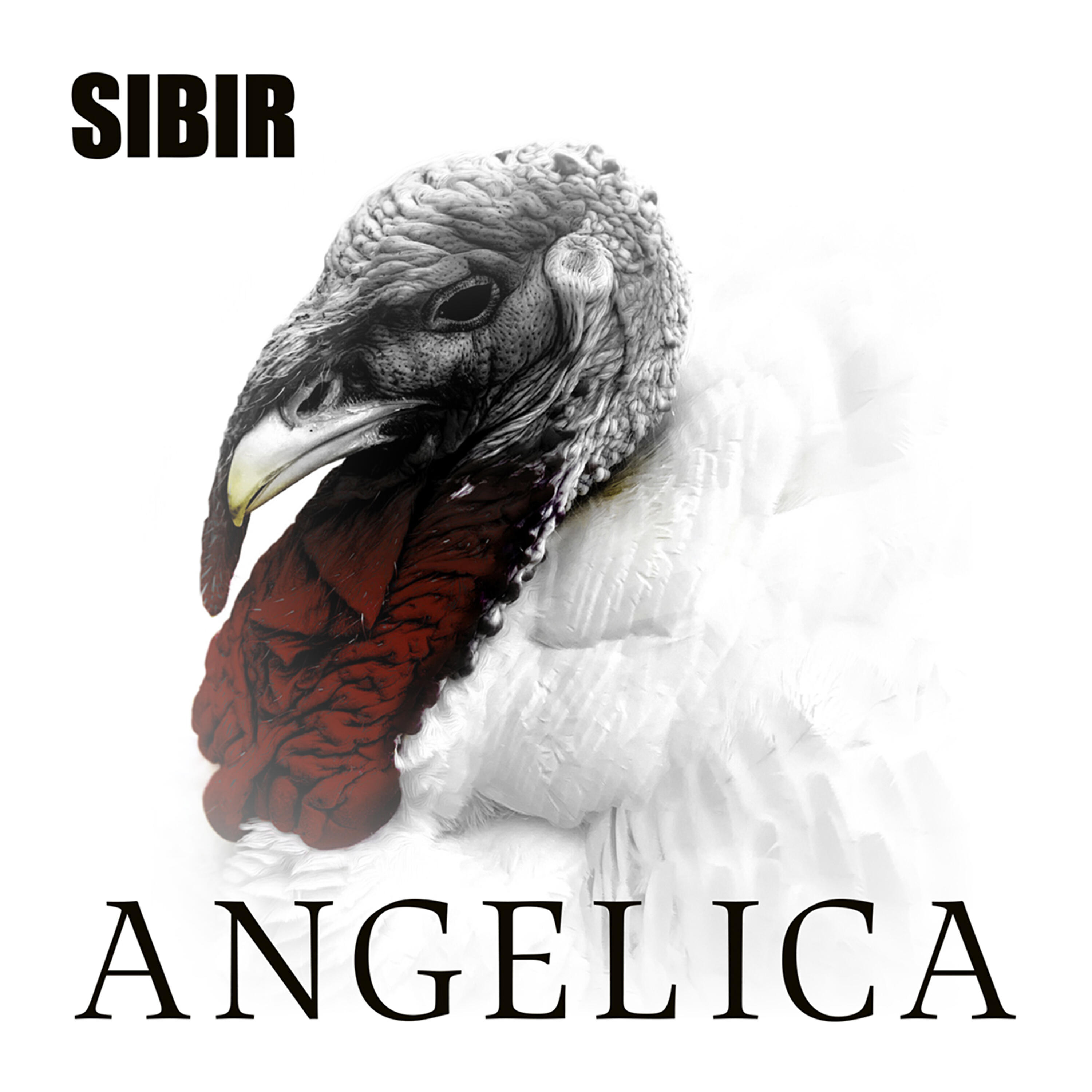 Релиз Angelica
