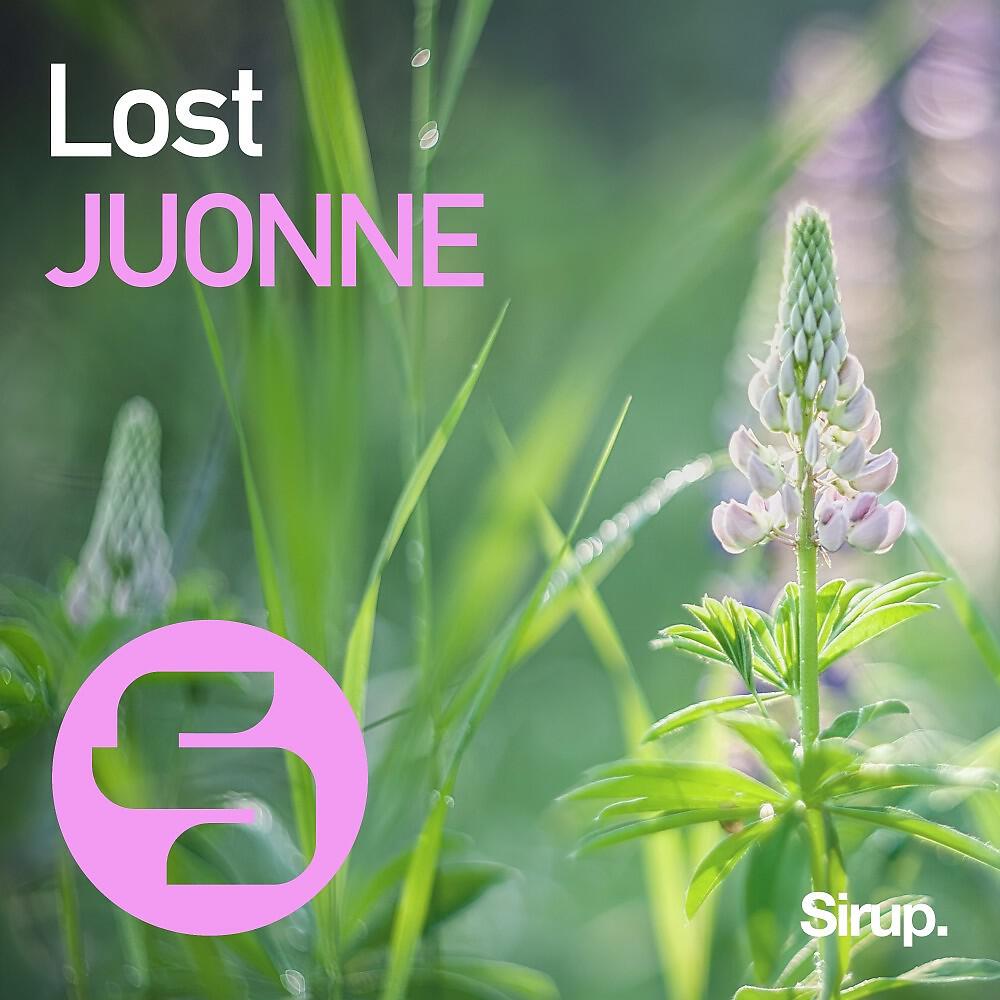 Релиз Lost