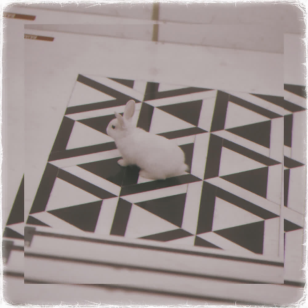 Релиз Horas Contigo