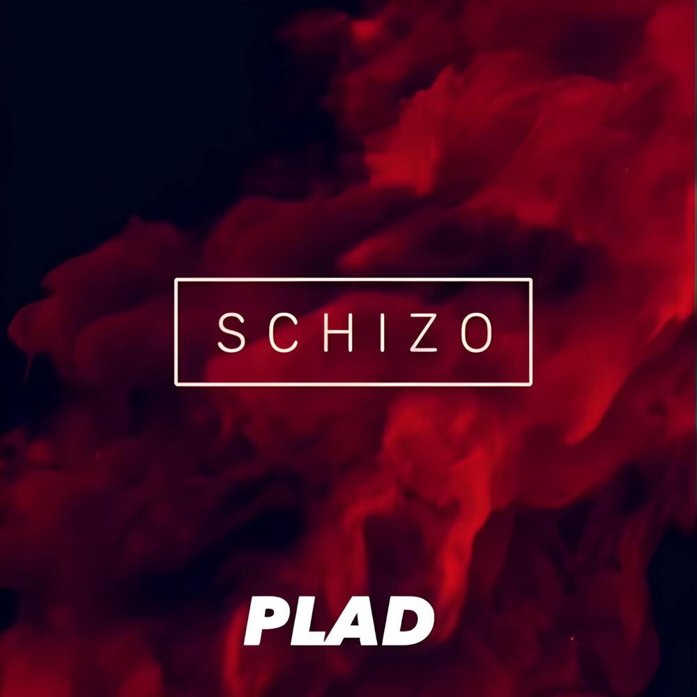 Релиз Schizo