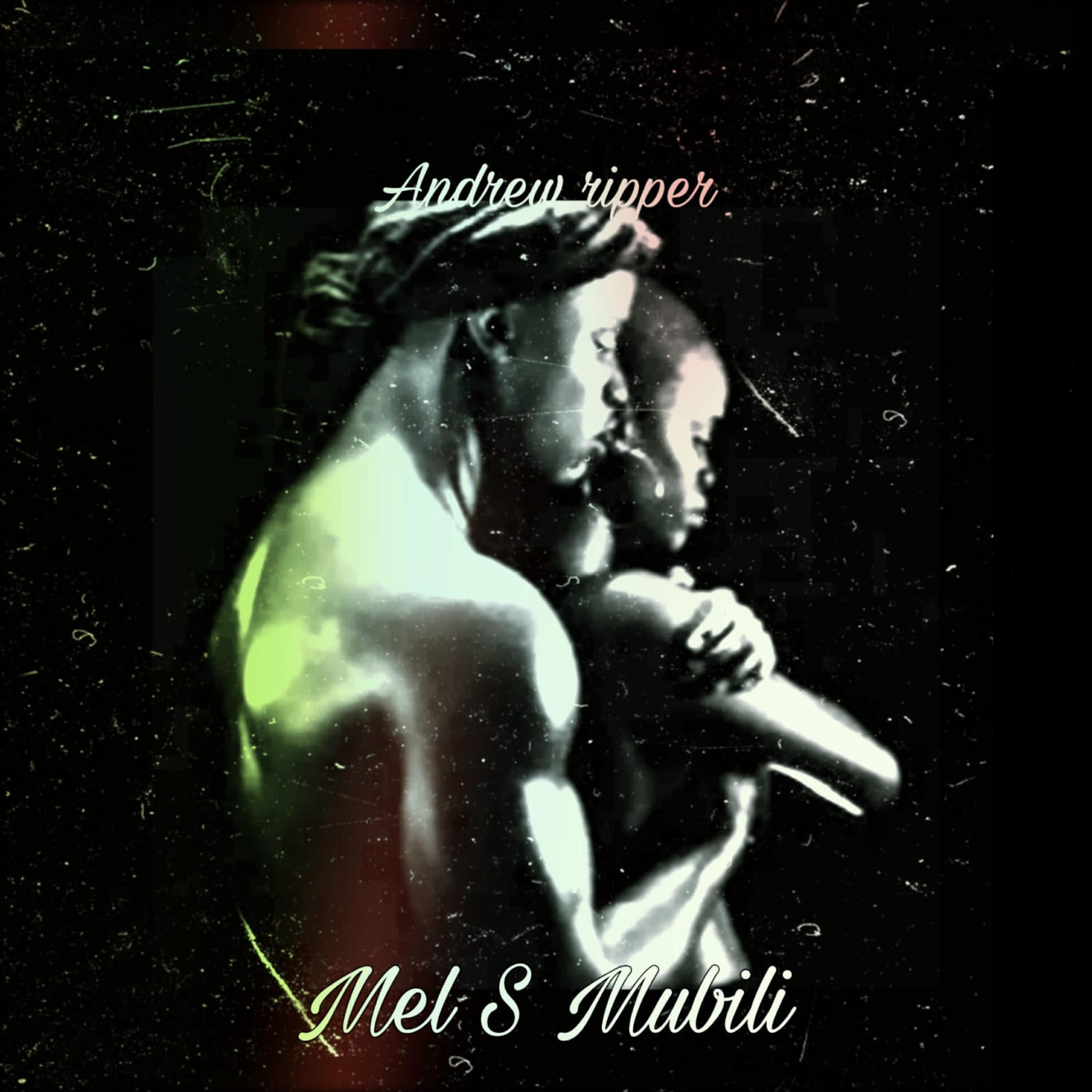 Релиз Mel S Mubili