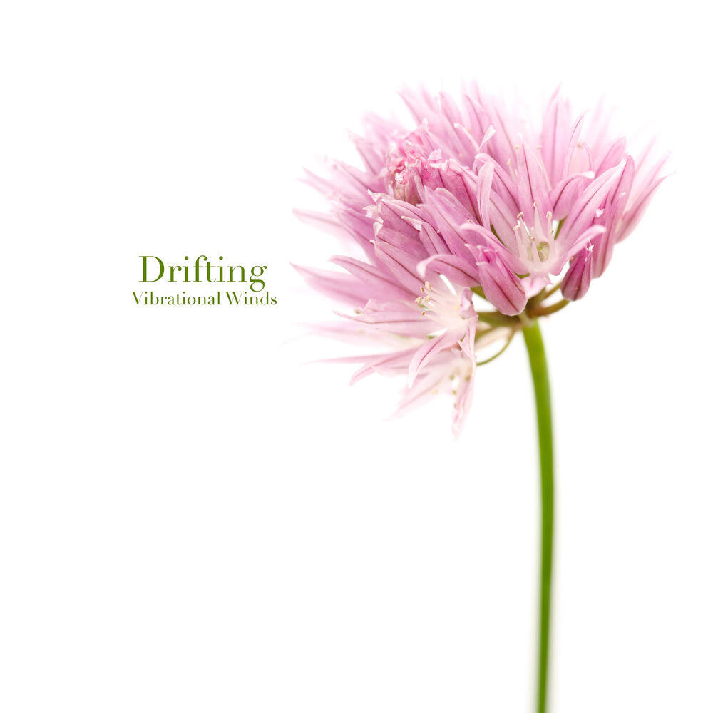 Релиз Drifting