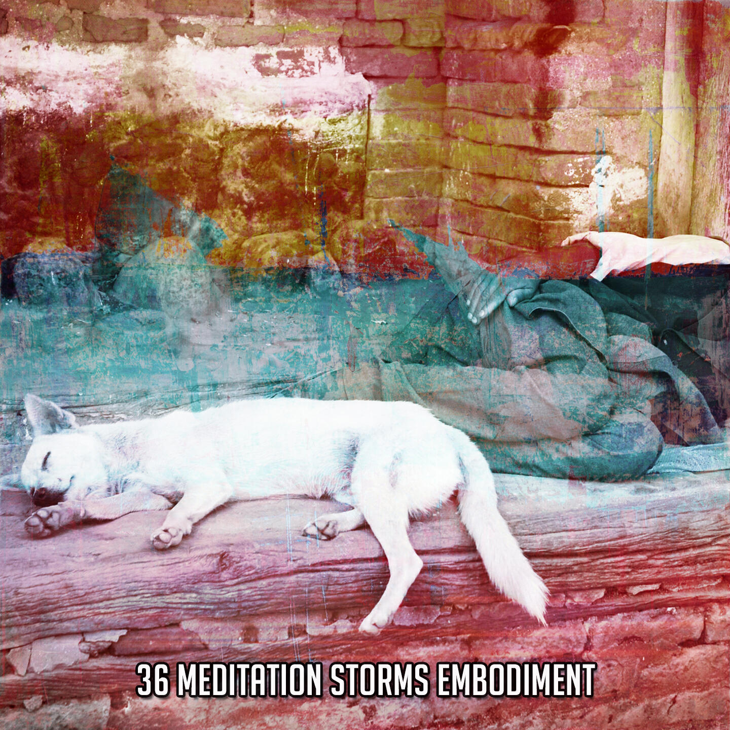 Релиз 36 Meditation Storms Embodiment