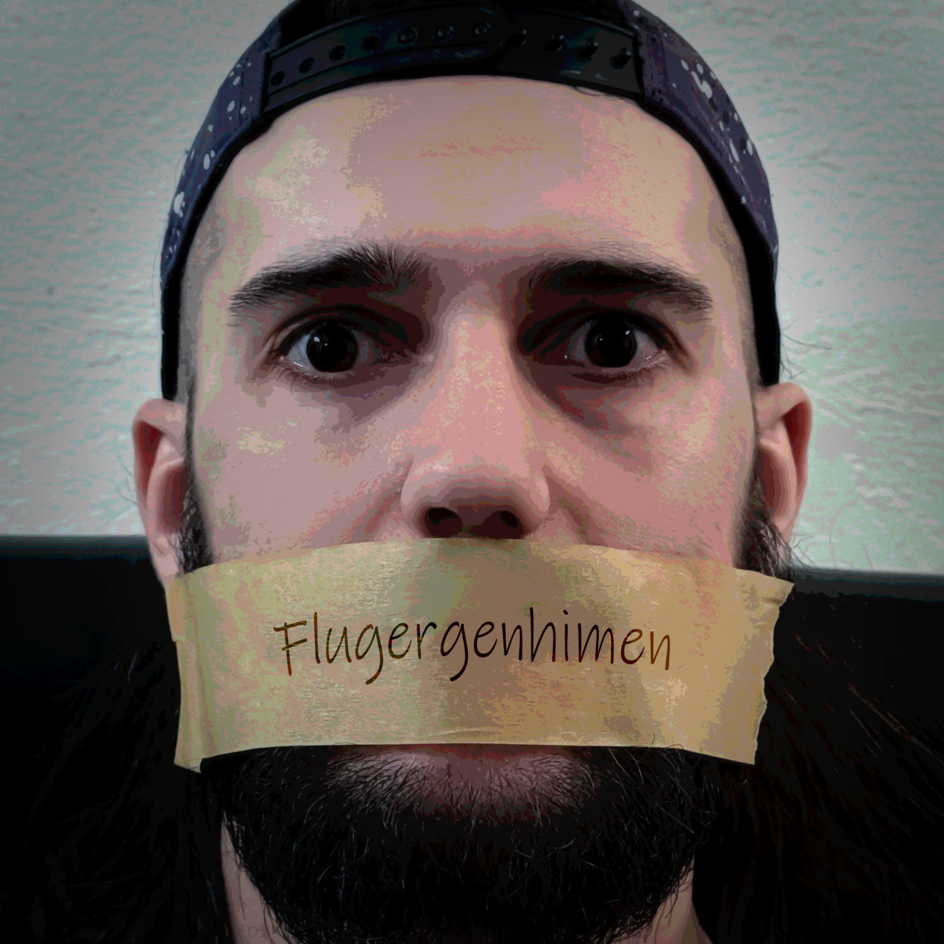 Релиз Flugergenhimen