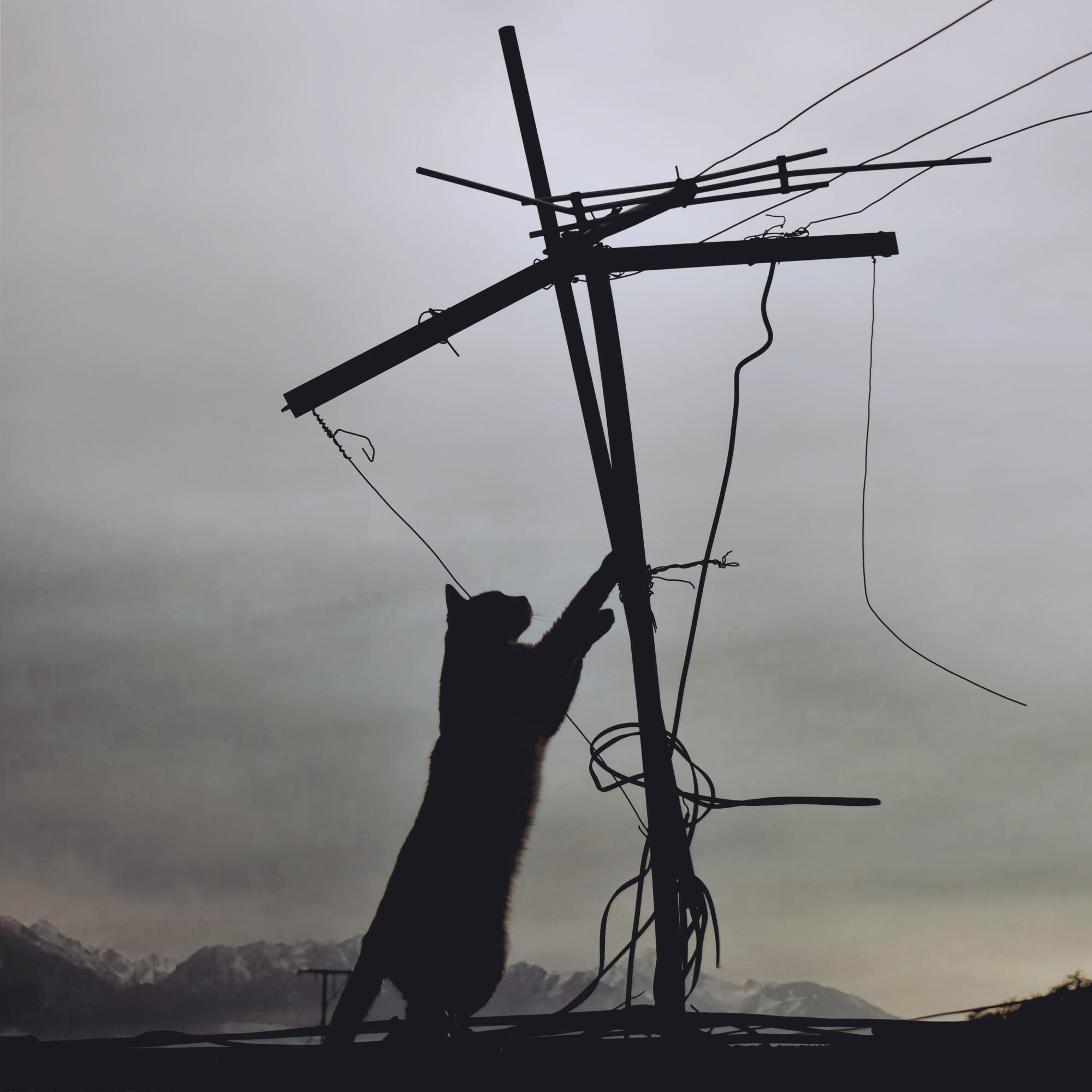 Релиз La Montaña