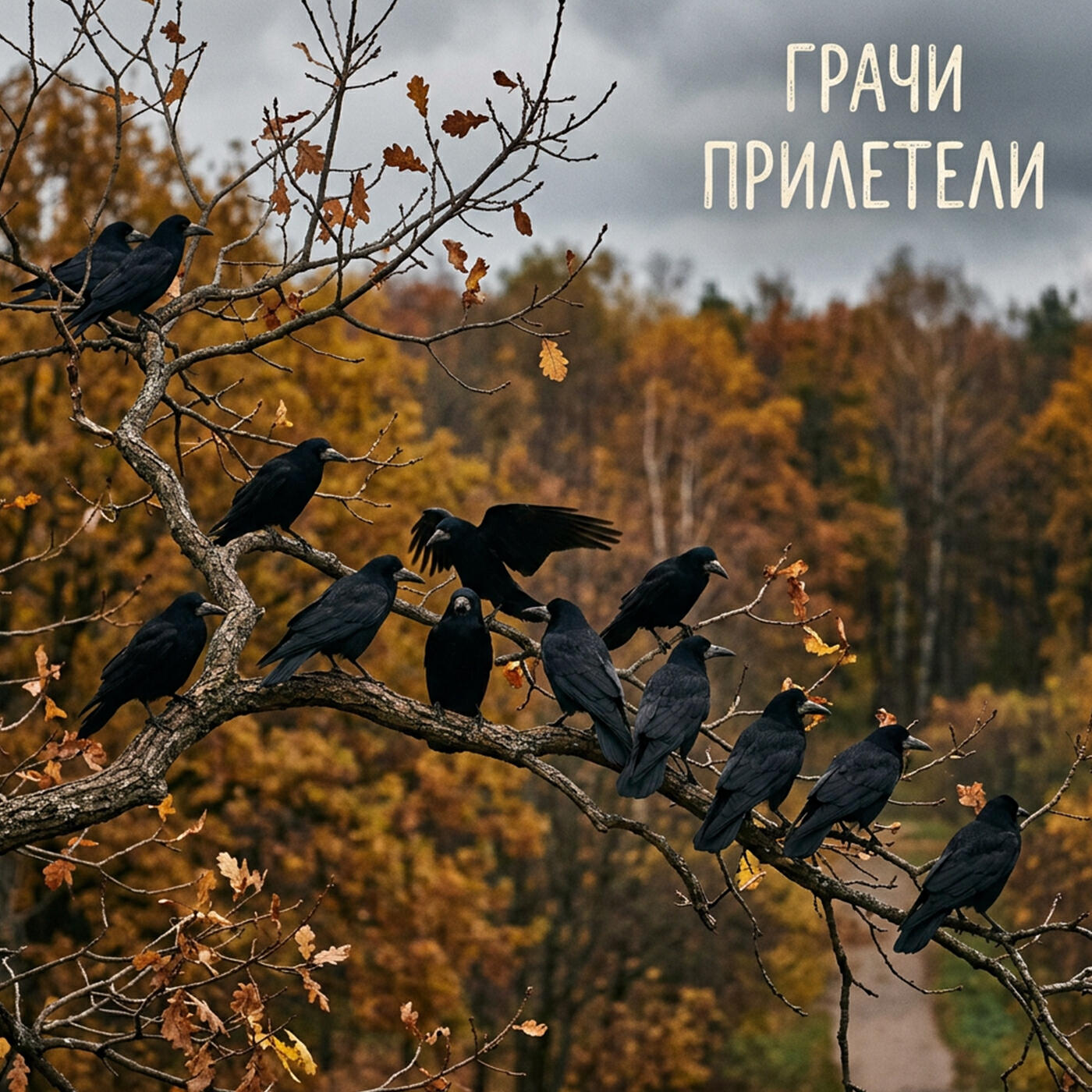 Релиз Грачи прилетели