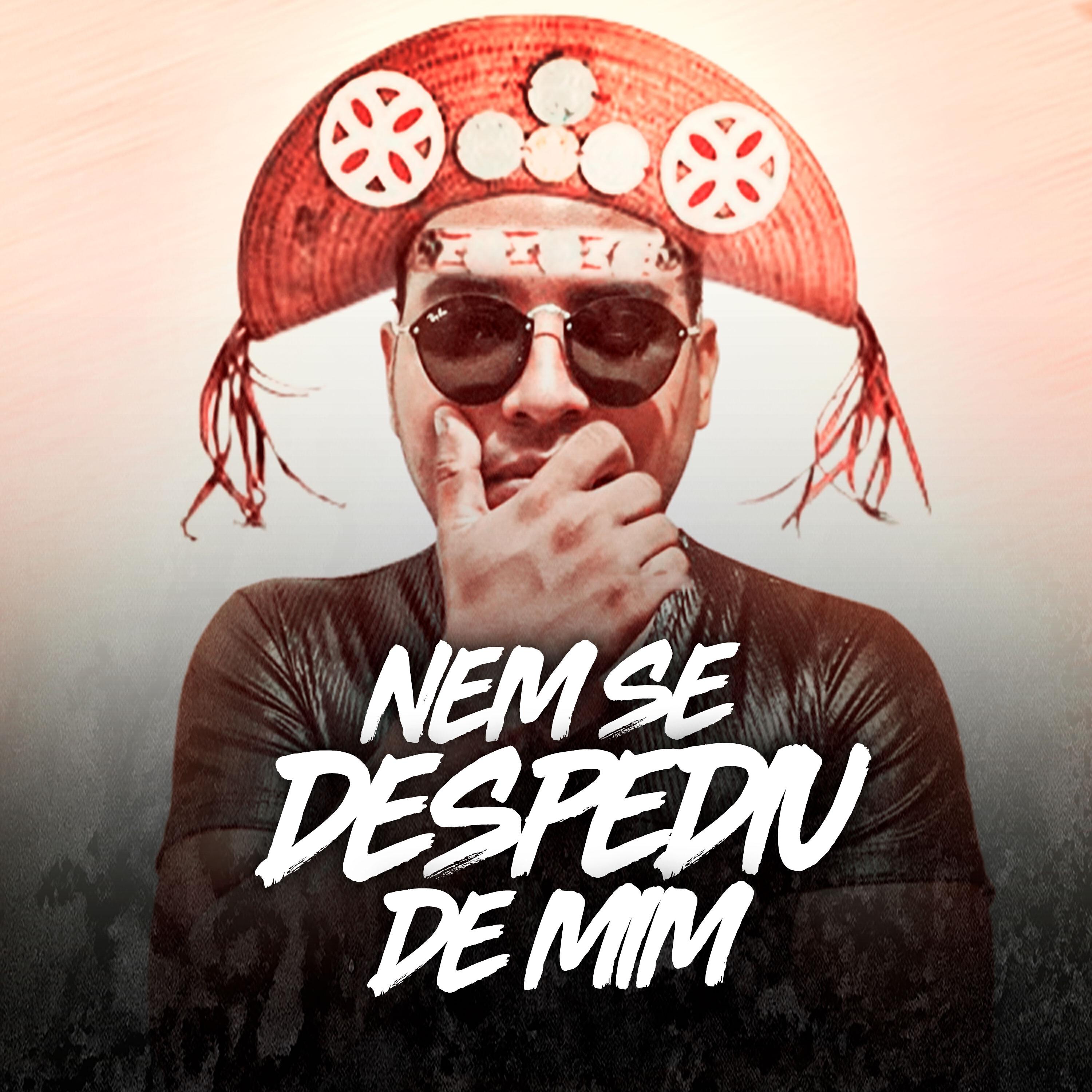 Релиз Nem Se Despediu De Mim