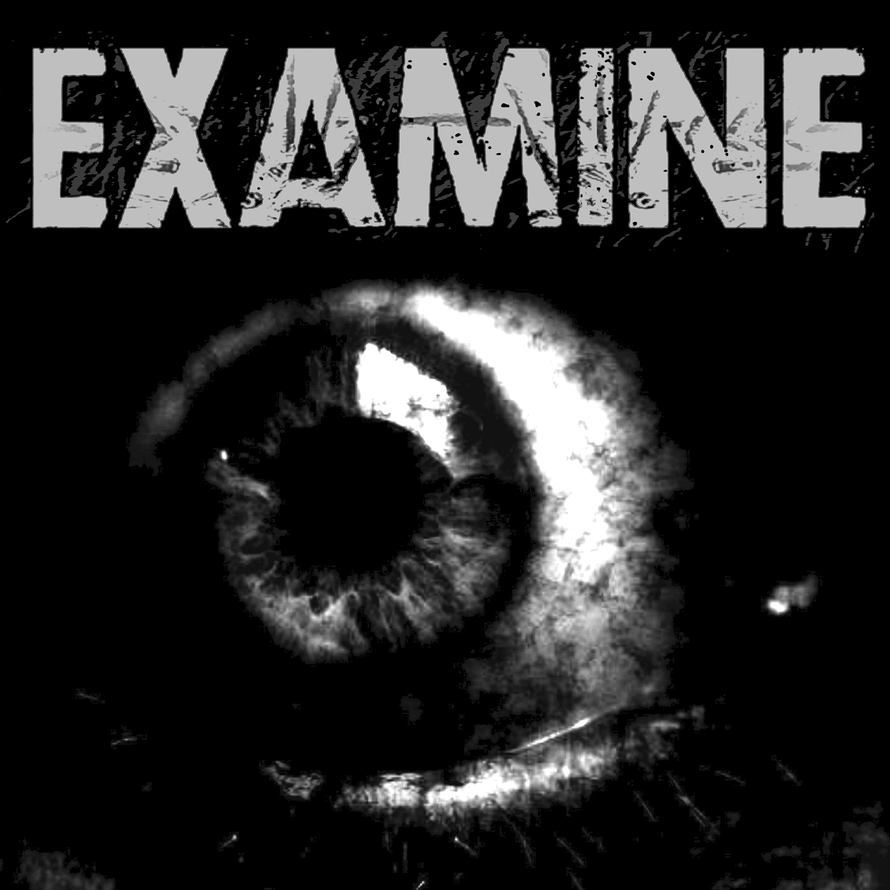 Релиз Examine