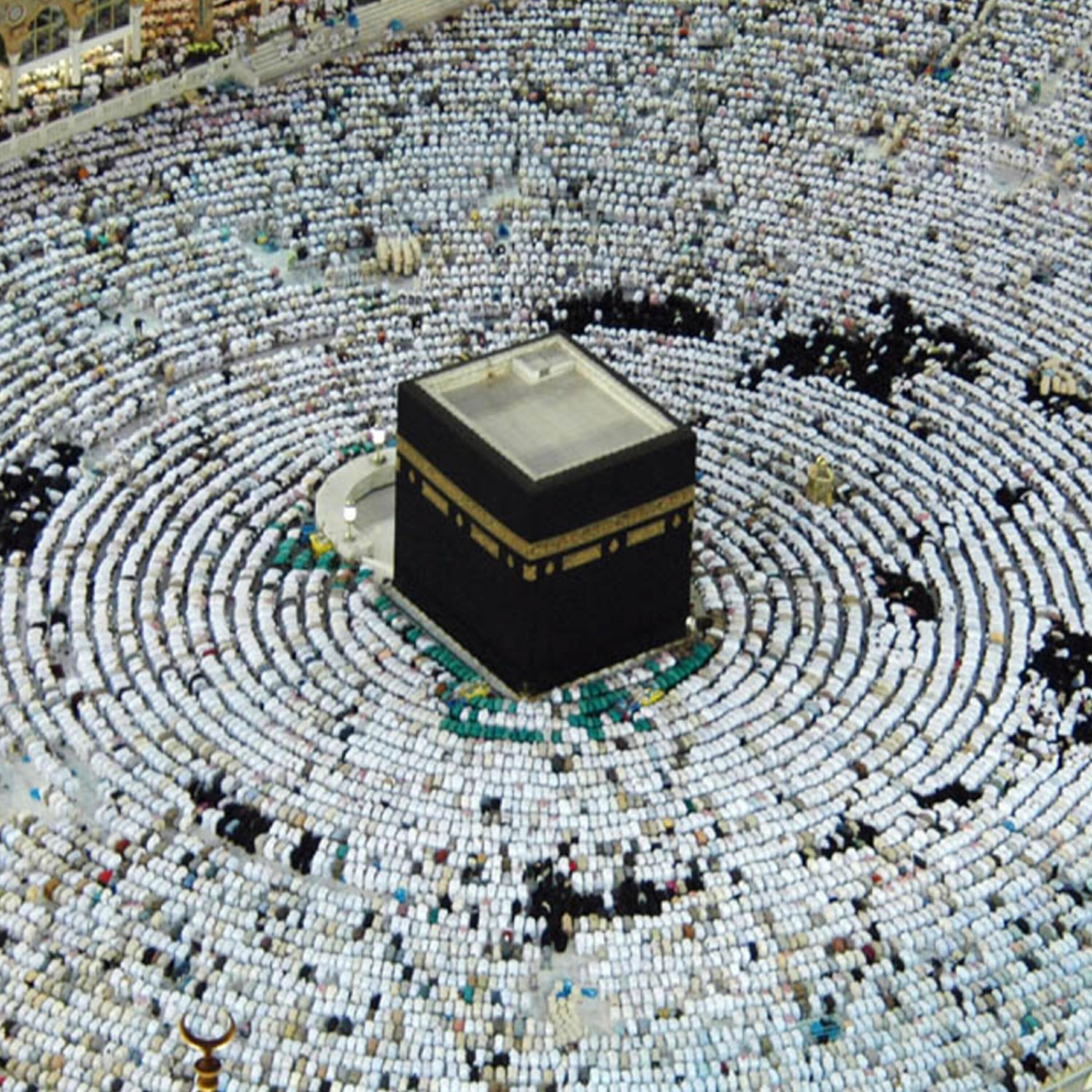 Релиз The complete Holy Quran