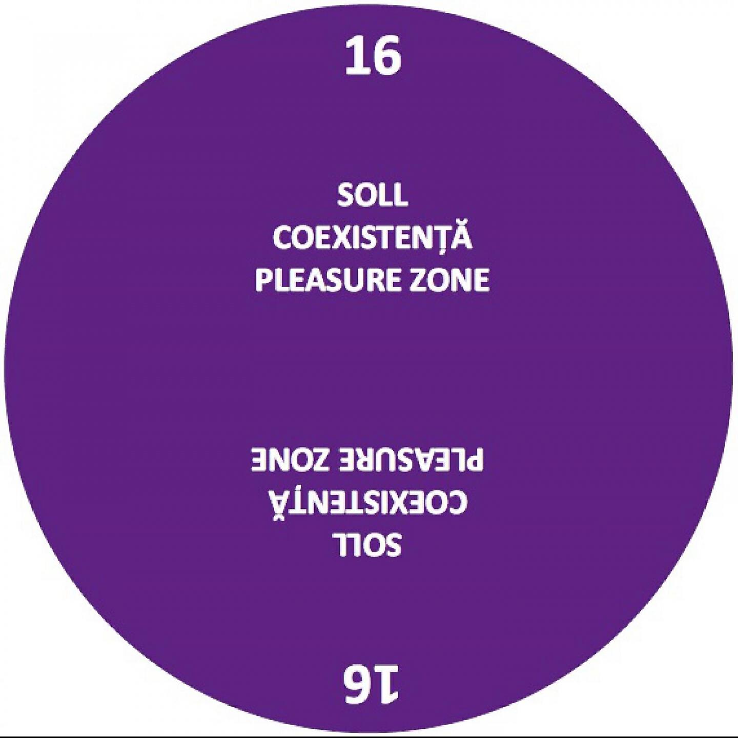 Постер альбома Coexistenta