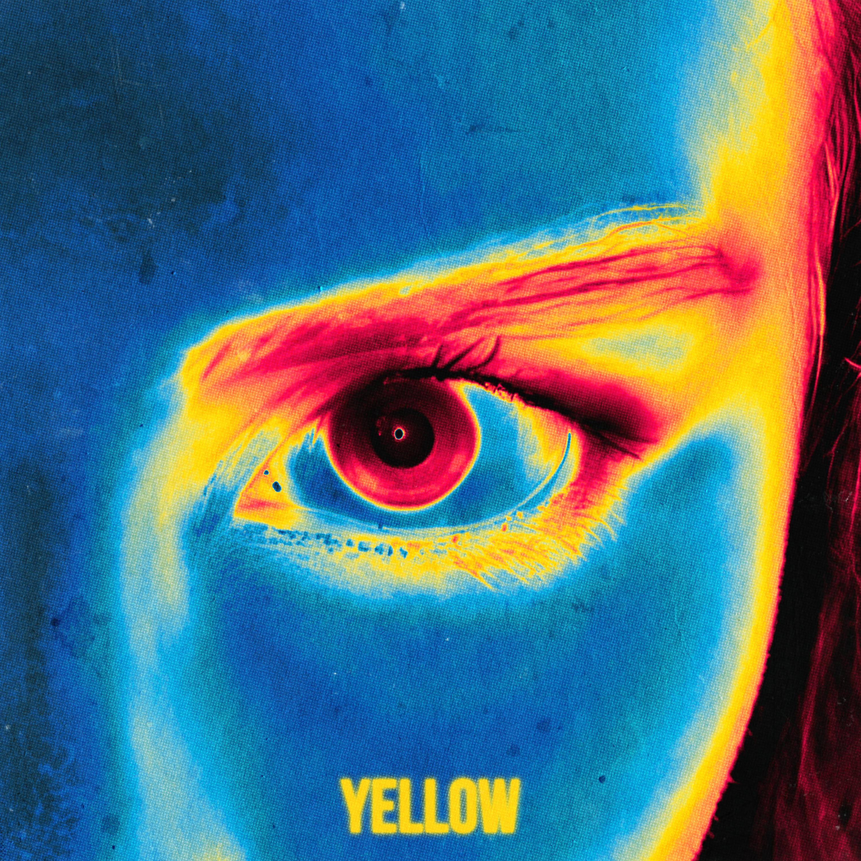 IYL