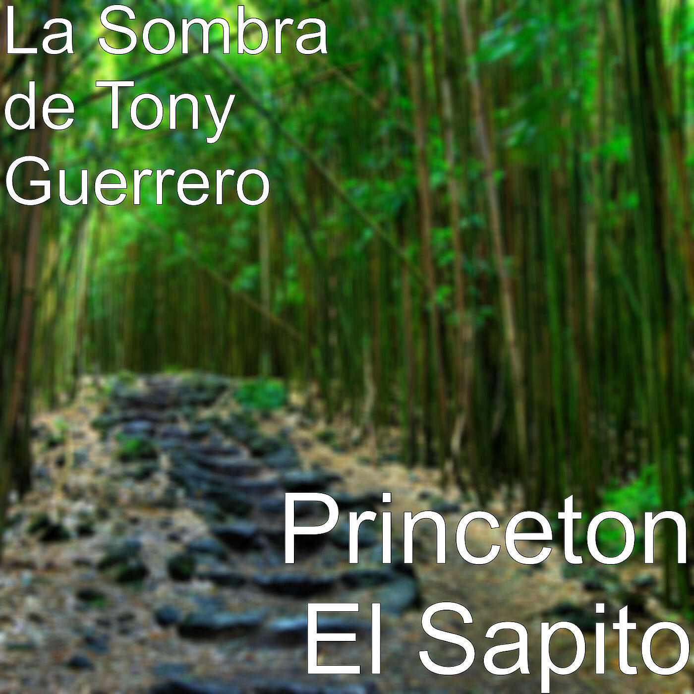 Релиз Princeton El Sapito