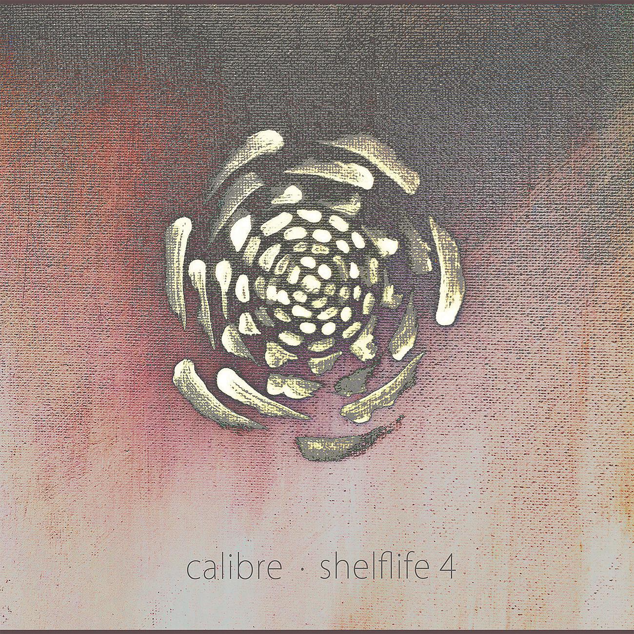 Релиз Shelflife 4