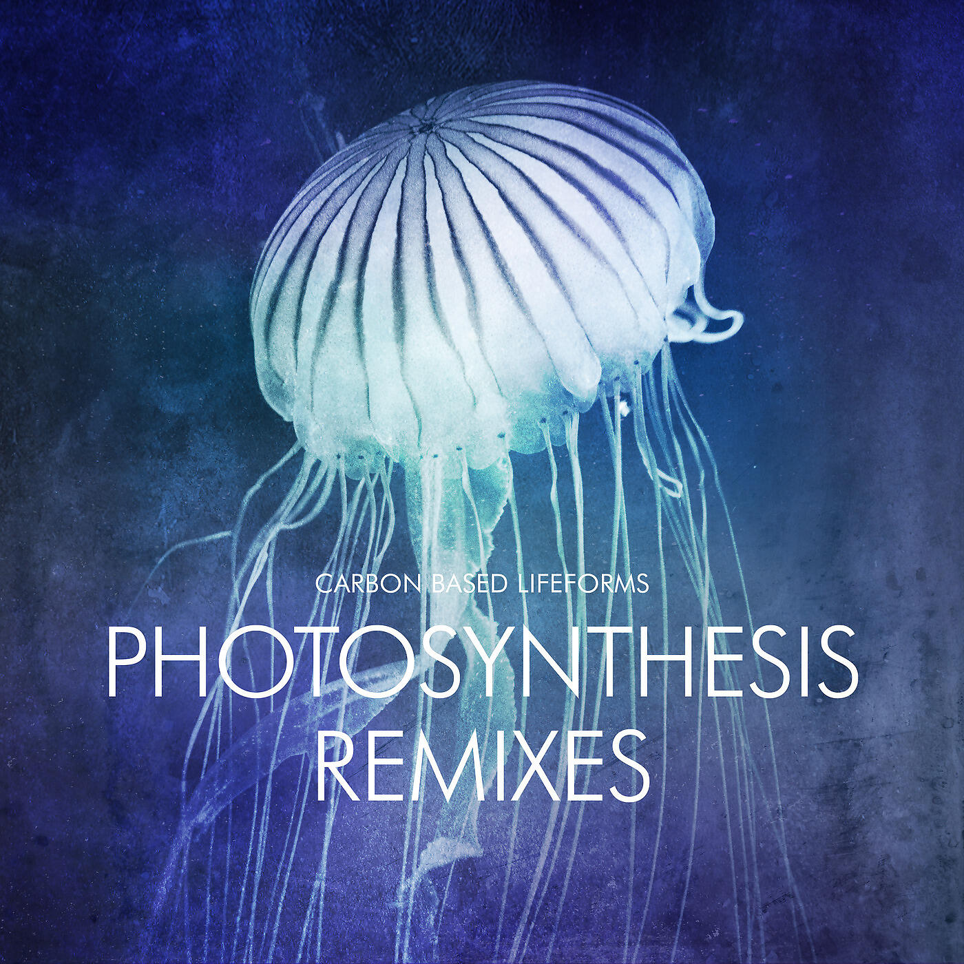 Релиз Photosynthesis (Remixes)