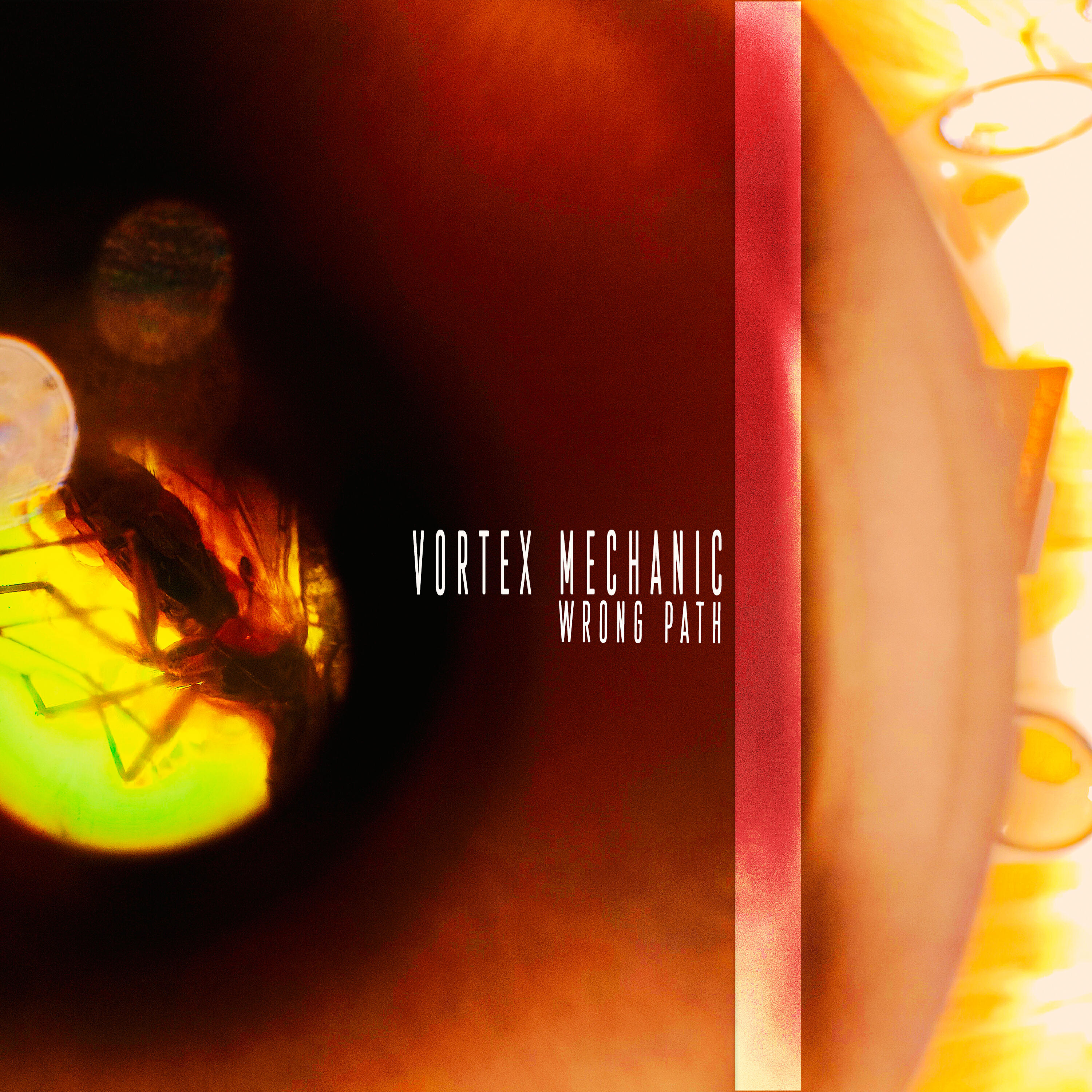Релиз Wrong Path