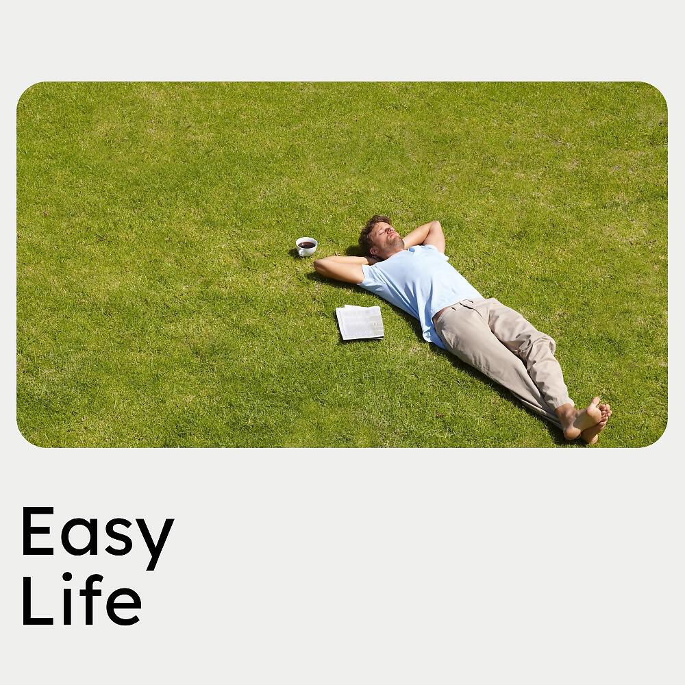 Релиз Easy Life