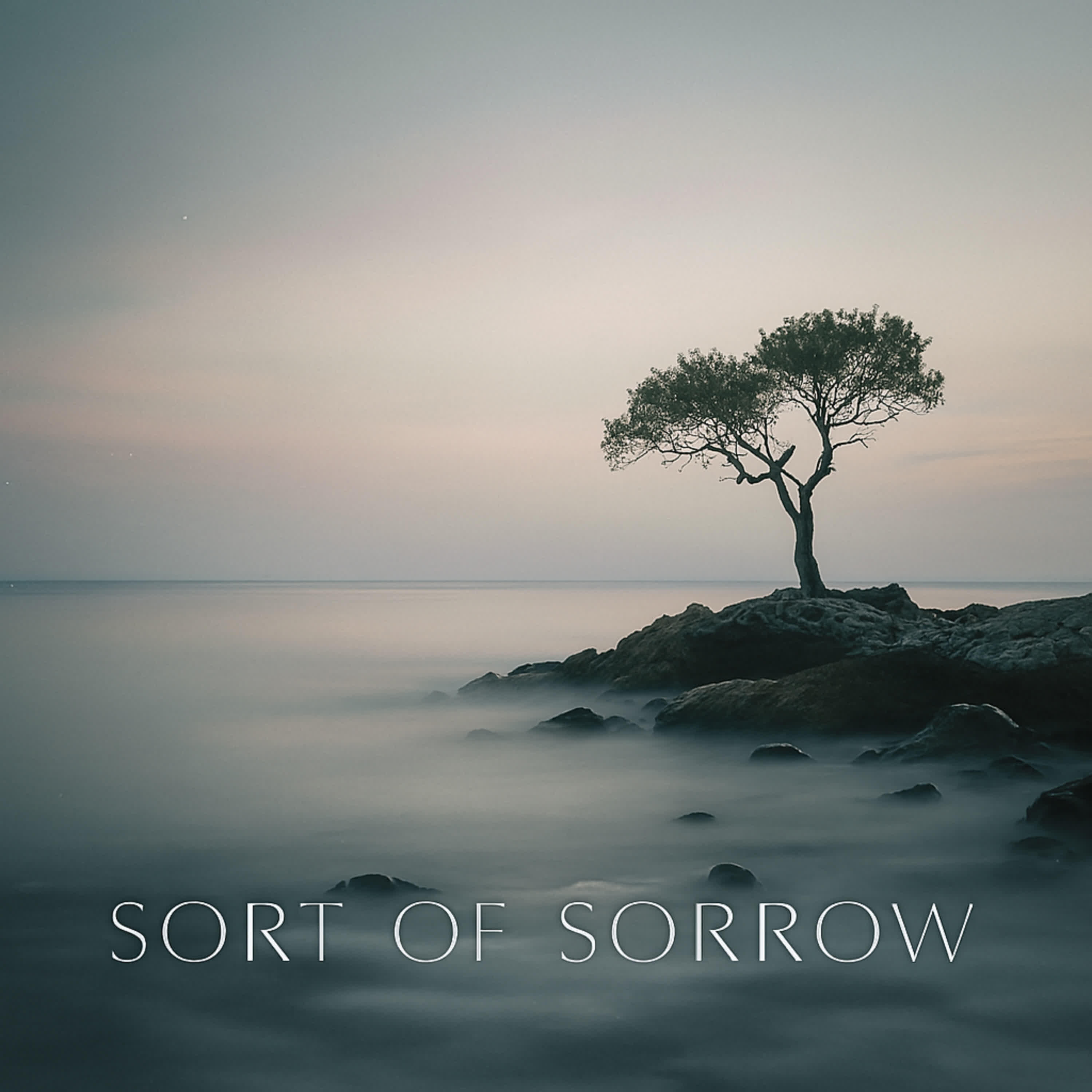 Релиз Sort of Sorrow